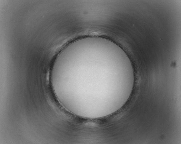 X0000111910358200907271041