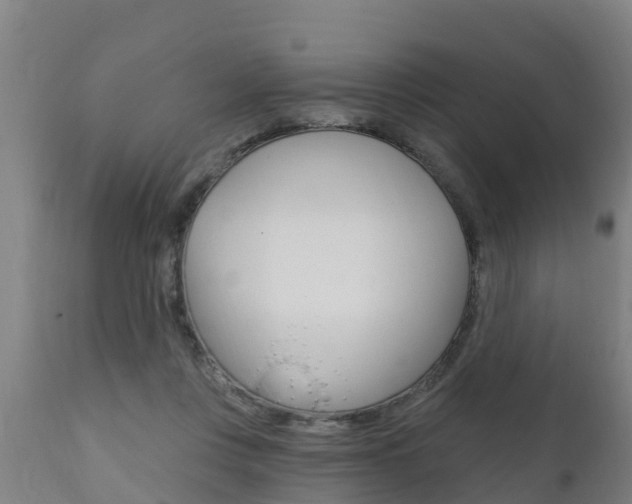X0000111910359200907271041