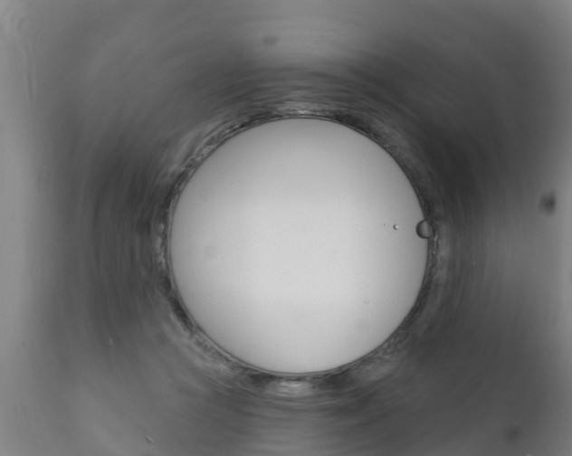 X0000111910361200907271041