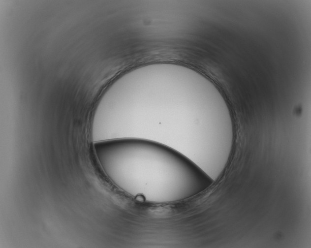 X0000111910362200907271041