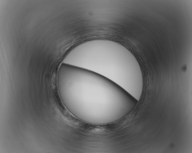 X0000111910364200907271041