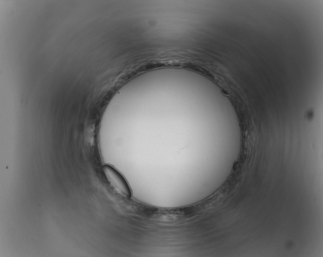X0000111910368200907271041