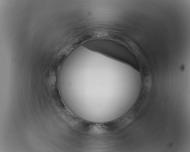 X0000111910372200907271041