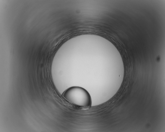 X0000111910376200907271041