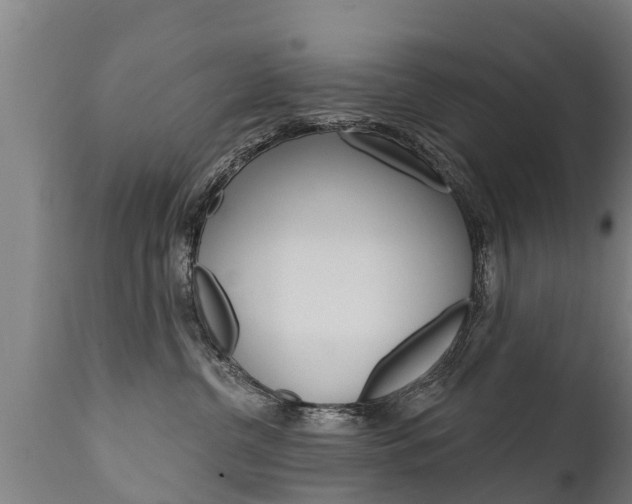 X0000111910380200907271041