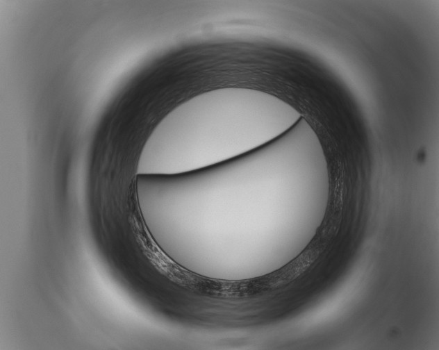 X0000111910383200907271041