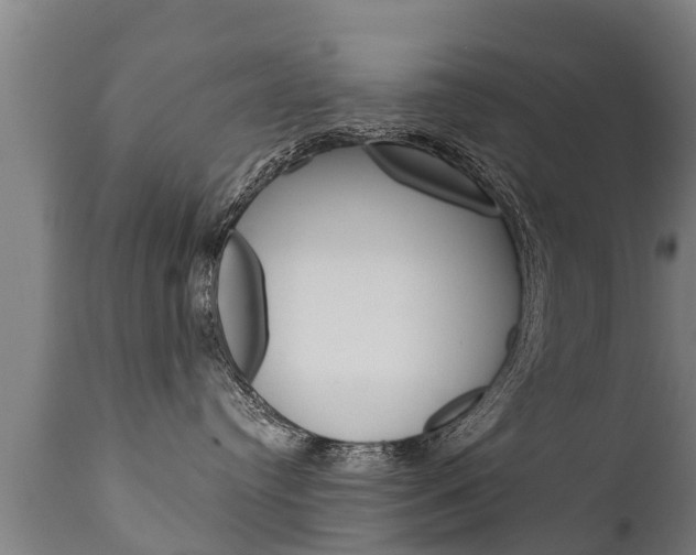 X0000111910384200907271041