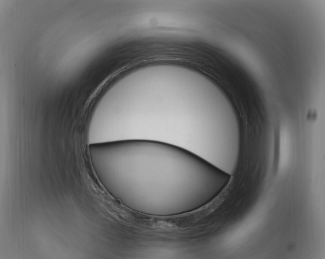 X0000111910387200907271040