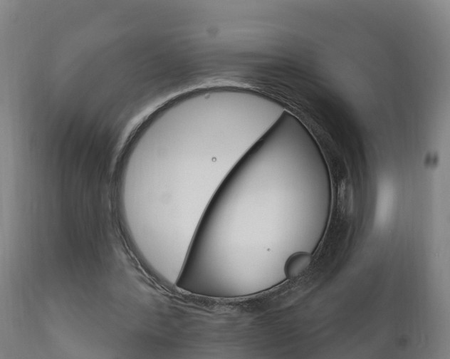 X0000111910388200907271040