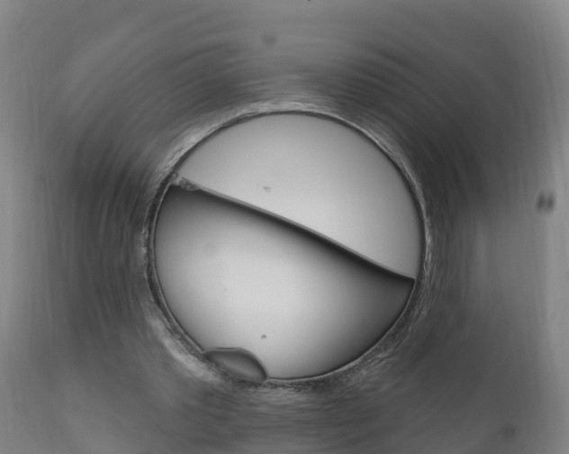 X0000111910389200907271040