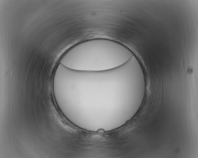 X0000111910390200907271040