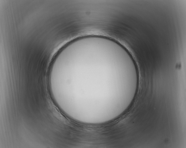 X0000111910391200907271040