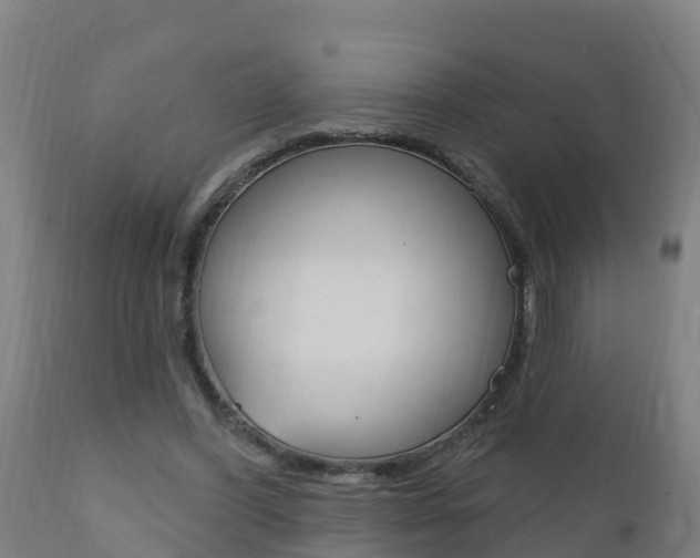 X0000111910396200907271040