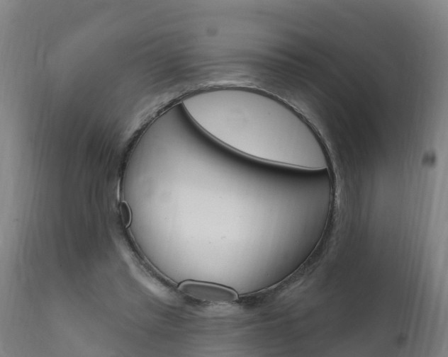 X0000111910397200907271040