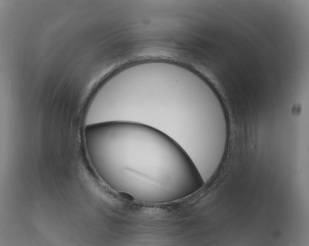 X0000111910399200907271040