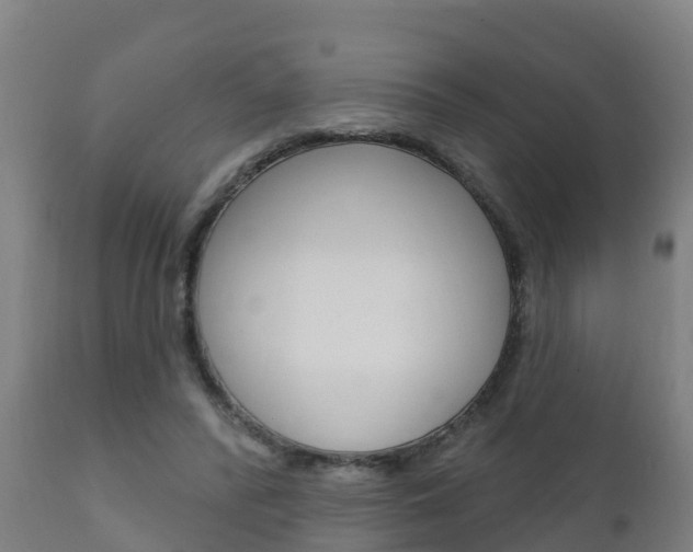 X0000111910400200907271040