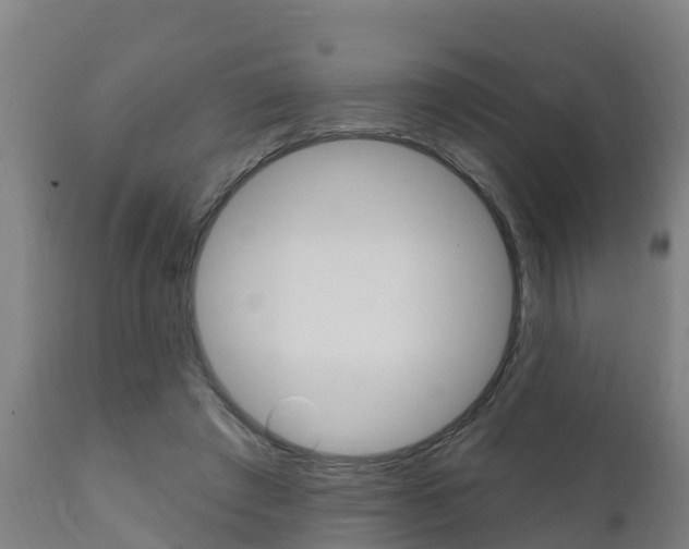 X0000111910401200907271040