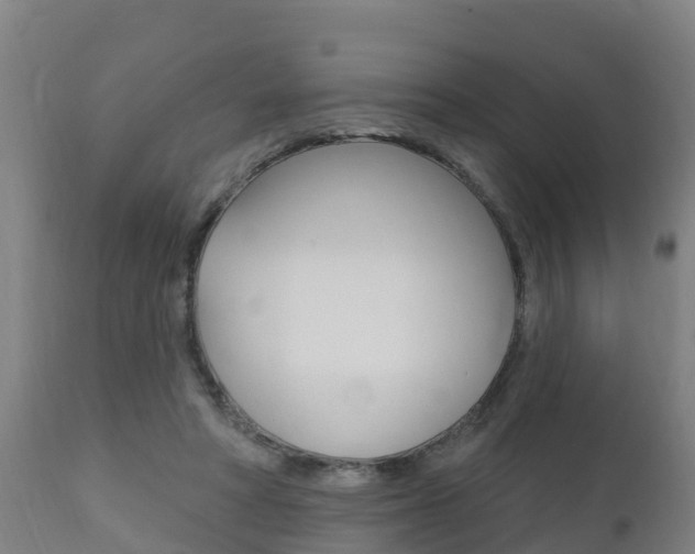 X0000111910402200907271040