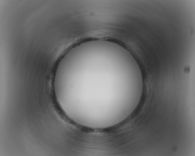 X0000111910404200907271040