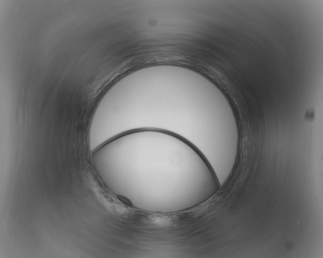 X0000111910405200907271040