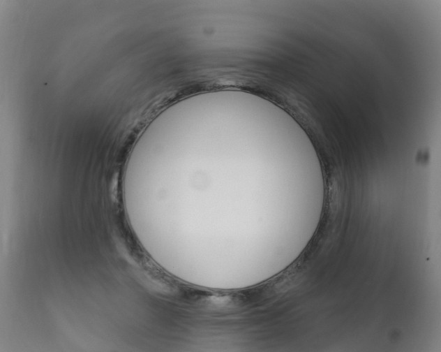 X0000111910406200907271040