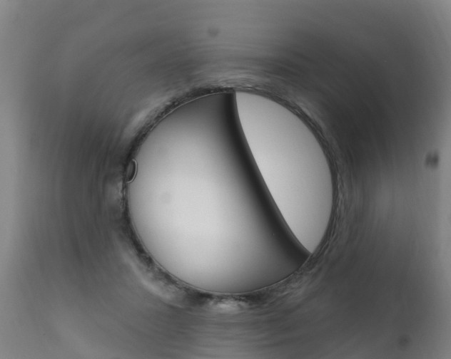 X0000111910407200907271040