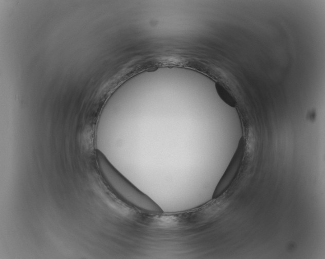 X0000111910409200907271040