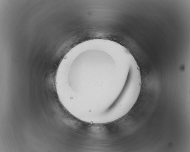 X0000111910415200907271040