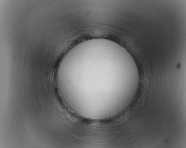 X0000111910416200907271040