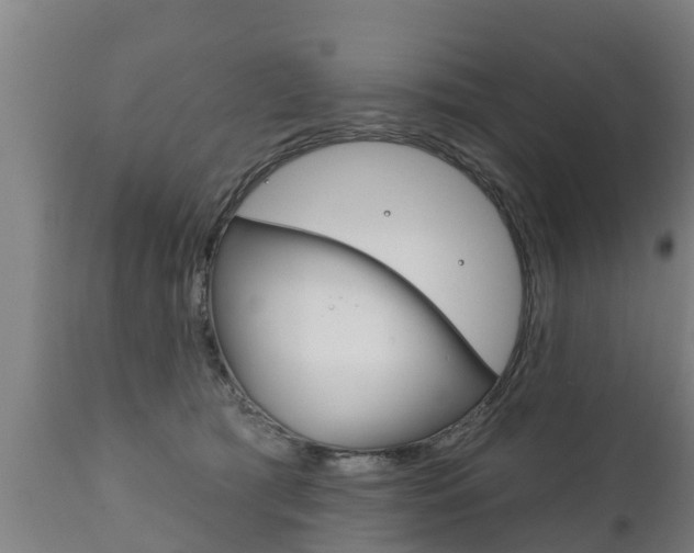 X0000111910417200907271040