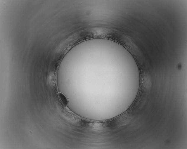 X0000111910419200907271040