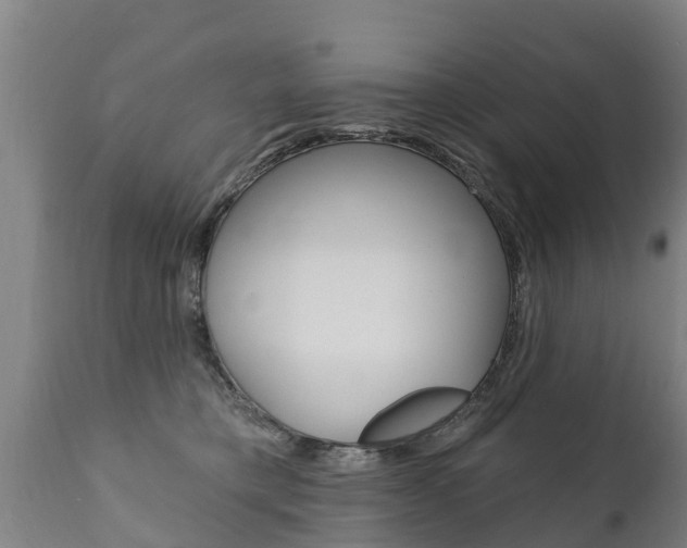 X0000111910421200907271039
