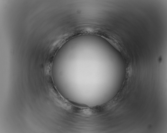 X0000111910423200907271039