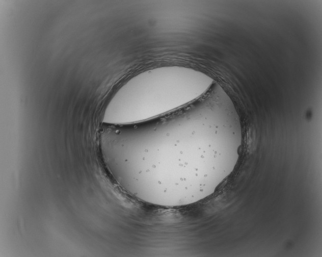 X0000111910424200907271039