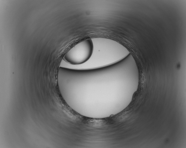 X0000111910428200907271039