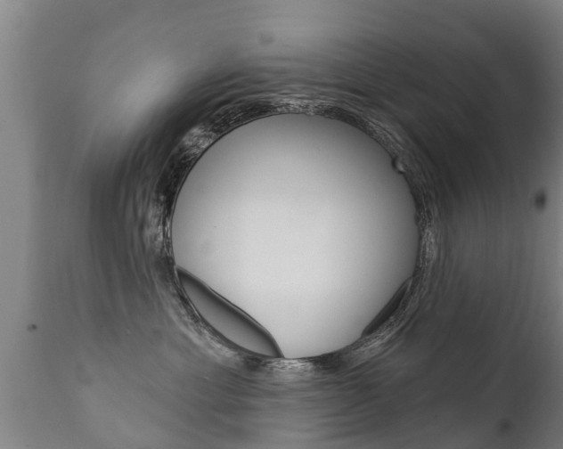 X0000111910429200907271039