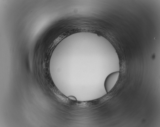 X0000111910430200907271039