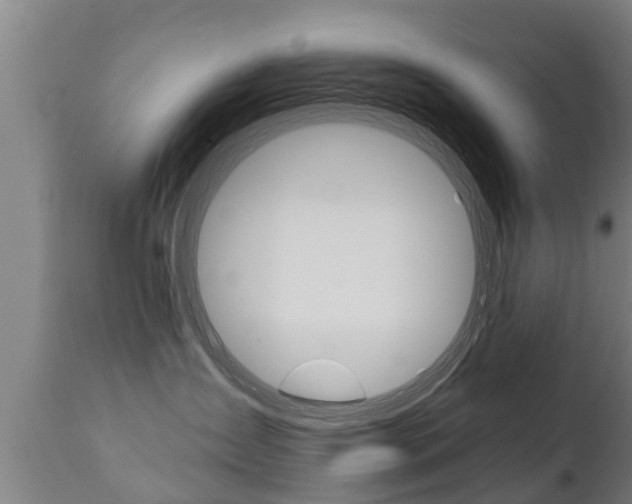 X0000111910431200907271039