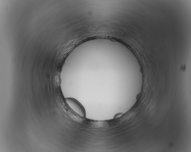 X0000111910432200907271039