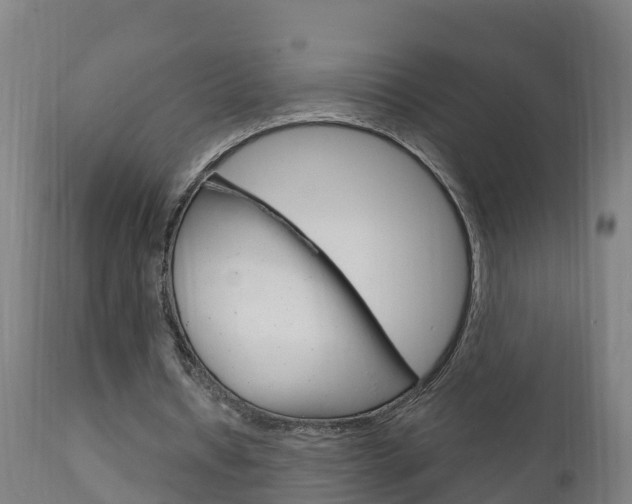 X0000111910434200907271039
