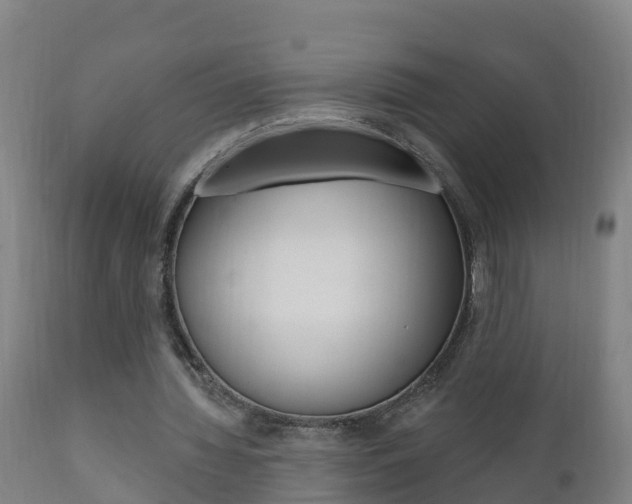 X0000111910436200907271039