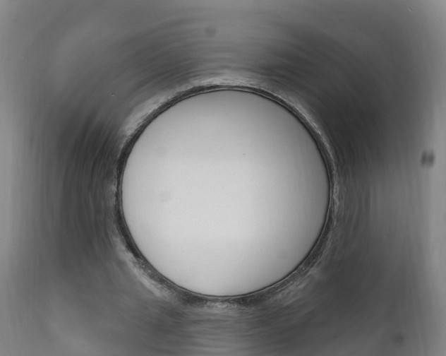 X0000111910437200907271039