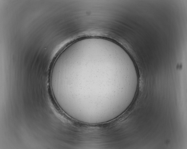 X0000111910438200907271039