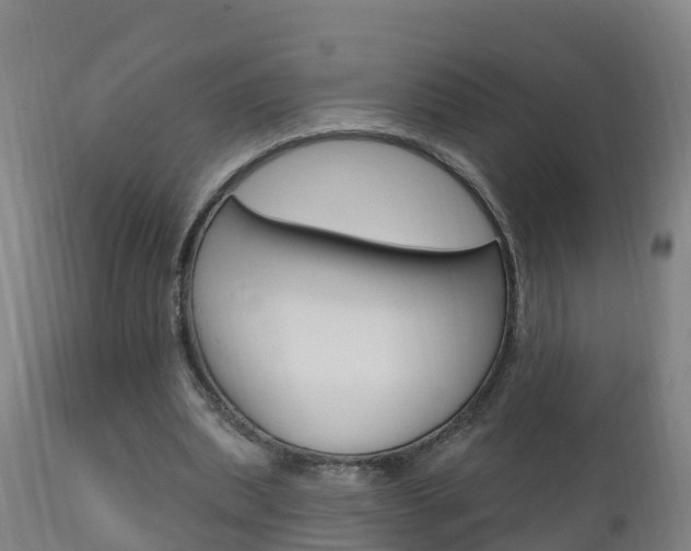 X0000111910439200907271039