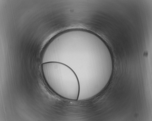 X0000111910440200907271039