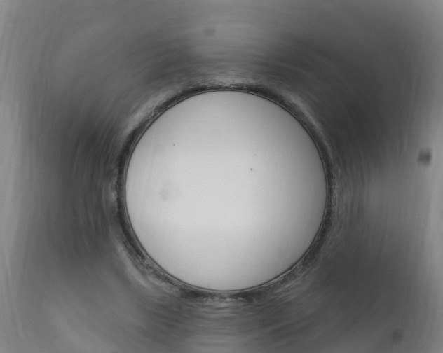 X0000111910443200907271039
