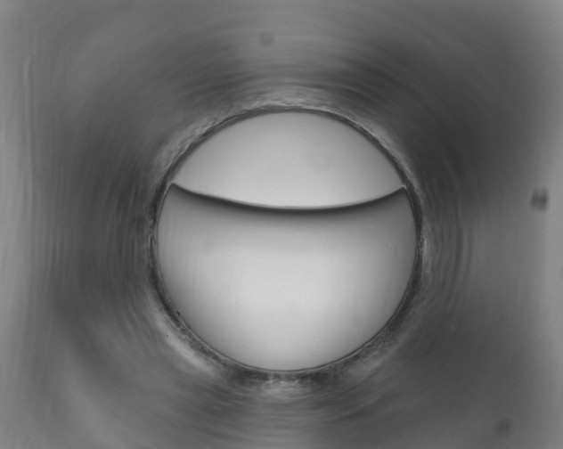 X0000111910445200907271039