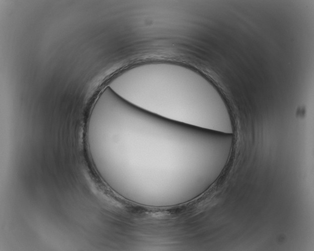 X0000111910446200907271039