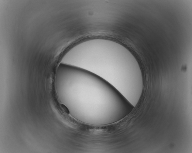 X0000111910448200907271039