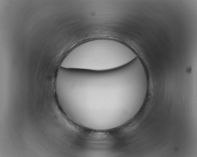 X0000111910449200907271039